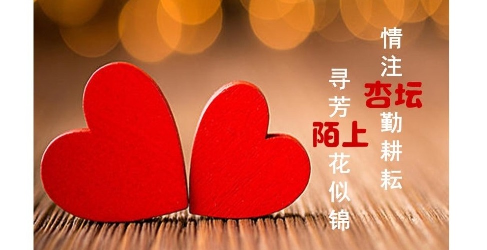 寻芳陌上花似锦，情注杏坛勤耕耘——记木渎范仲淹实验小学青年教师培训活动